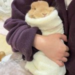 Photo by pocket Paquerette bun 🐇🤍🌼 (@GoodMorningBun)