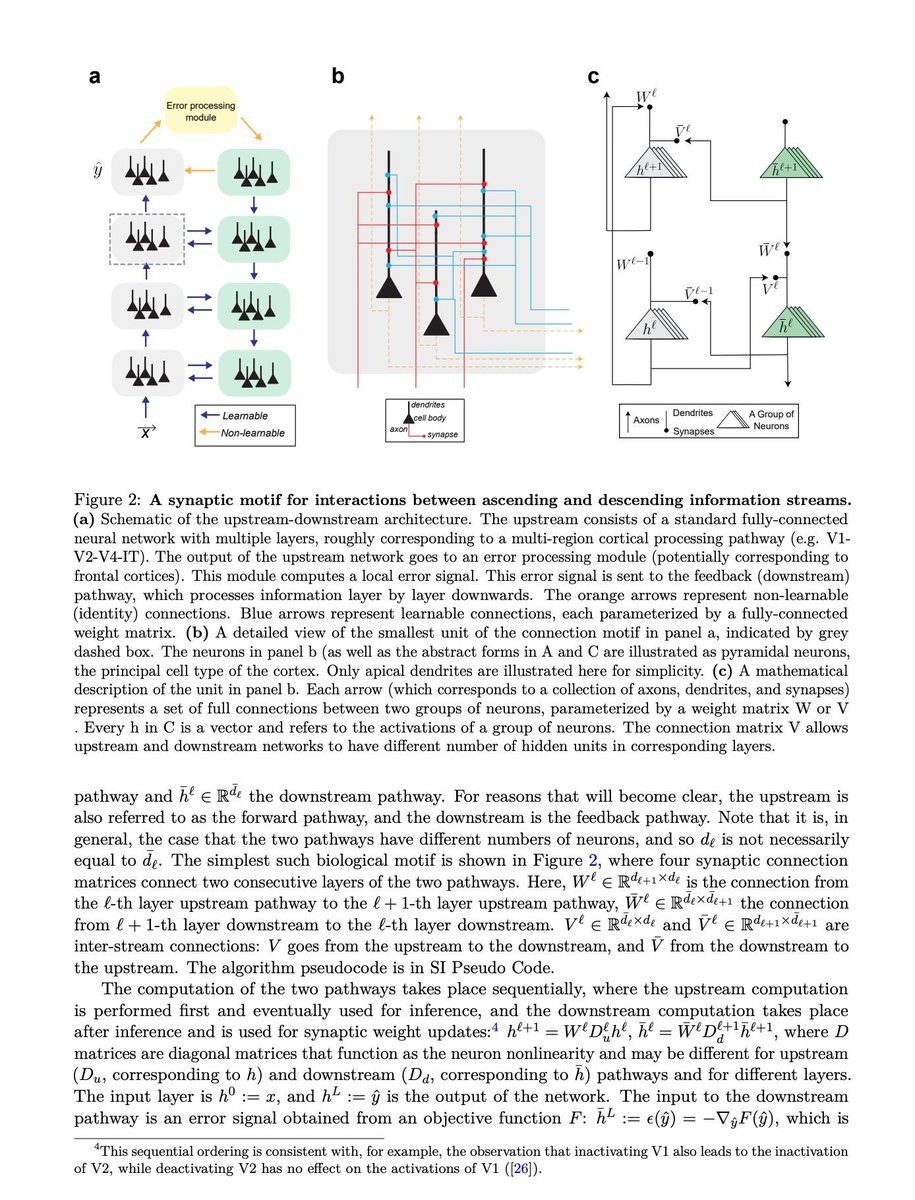 gp_pulipaka's tweet photo. 20 Brain Cells Can Trigger a Previously Learnt Movement! #BigData #Analytics #AI #MachineLearning #DataScience #IoT #IIoT #Python #RStats #TensorFlow #JavaScript #ReactJS #CloudComputing #Serverless #DataScientist #Linux #Programming #Coding #100DaysofCode 
https://t.co/7akBif6DDq
