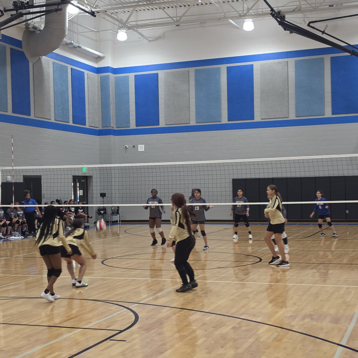 AISD_ATH's tweet photo. Rodriguez Vs. Barnett Volleyball 
#CultivatingChampions
#MakingDreamsHappen
@ArlingtonISD @THSCAcoaches @OfficialTHSADA 
#WeAreArlingtonISD https://t.co/sI3AiEnMeH