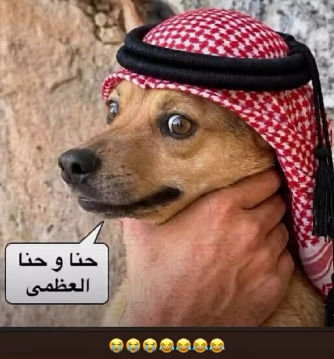 myz5hp's tweet photo. @uv91i @ymny287357 ههههه نباحك طرب ياتعوسي 
سلفني جيش
تشحتوا من كل دوله تحميكم 
التعوسيين مفعلين/ حنا جنود المملكه نهرب وقت المعركه https://t.co/pnq1tseB4U