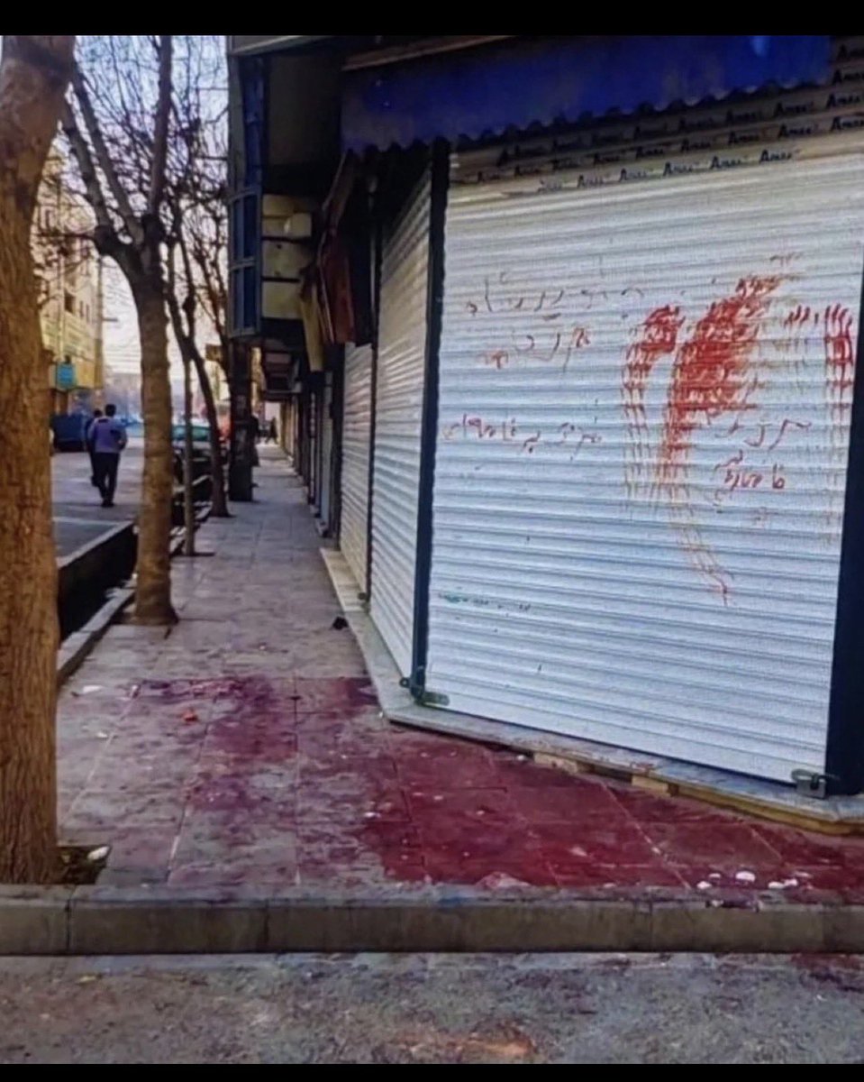 Jane_jaanan's tweet photo. @GLBouchez @MR_officiel @PahlaviReza We Iranian made our choice! World accept or not we have a leader and he is @razapahlavi .
The only leader people wrote his name with their blood on streets of Iran back in January 2026.

 #JavidShah #KingRezaPahlavi‌ https://t.co/eMNQo12FXU