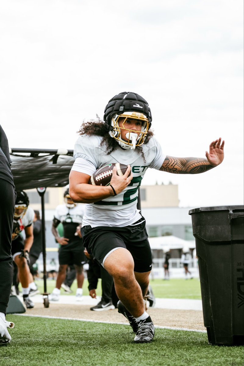 SacHornetsFB's tweet photo. 𝙒𝙊𝙍𝙆 🔒

#StingersUp | #GreenLine | #ZoTime https://t.co/7fU7F5NsjF
