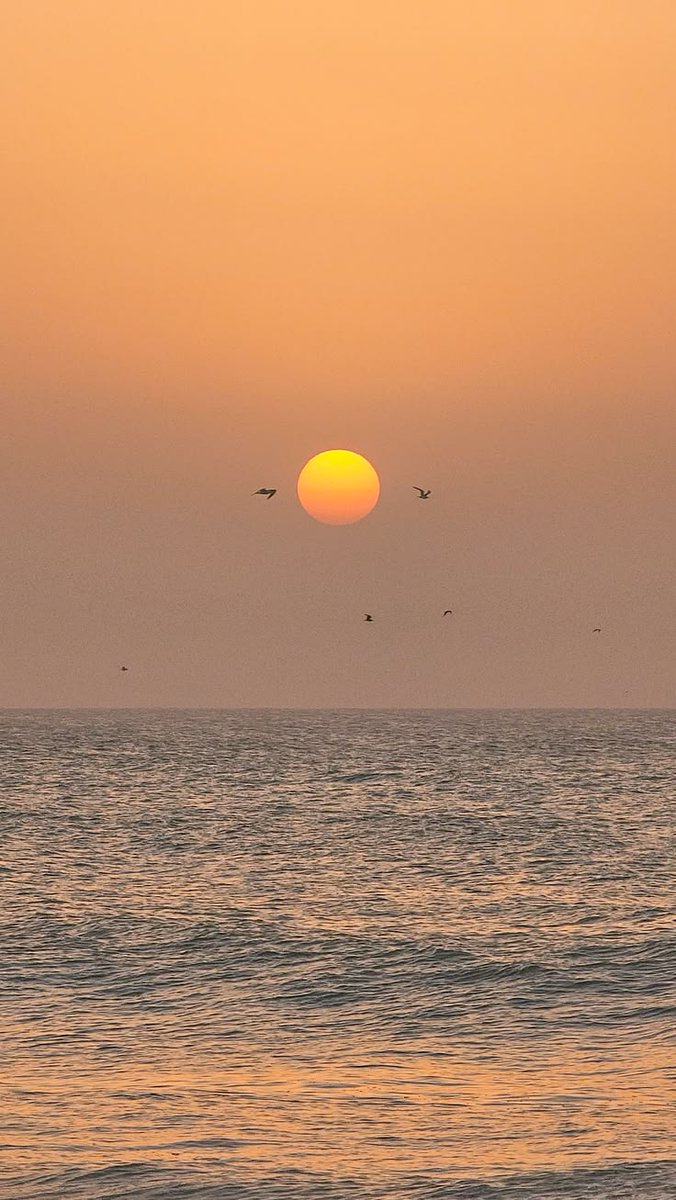 purelivn's tweet photo. golden mood 🧡 https://t.co/GoNVJCpfEA
