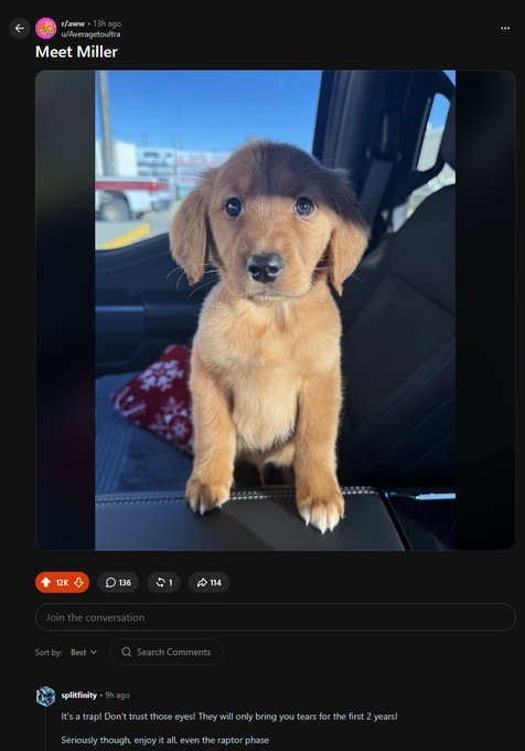 Tuffdevonchain's tweet photo. A DOG THAT LOOKS IDENTICAL TO BILLY IS GOING VIRAL AF TODAY ON MULTIPLE SOCIALS!!

This dog named "Miller" become the star of the show this morning on Reddit going super viralAlready 12k like in just a few hours!!

So many users have fallen in live with Miller in such a short time!

He will only keep going more viral from here https://t.co/JZjoV4zxD9

Hes also started going viral on facebook!

https://t.co/PDPMqiQHWU