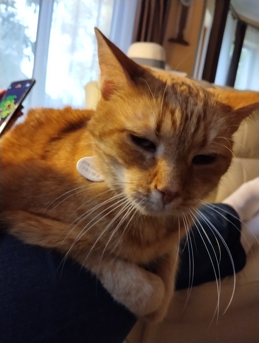 BlueFilled's tweet photo. @ome4ta Look at him... https://t.co/HilyiG9TNN