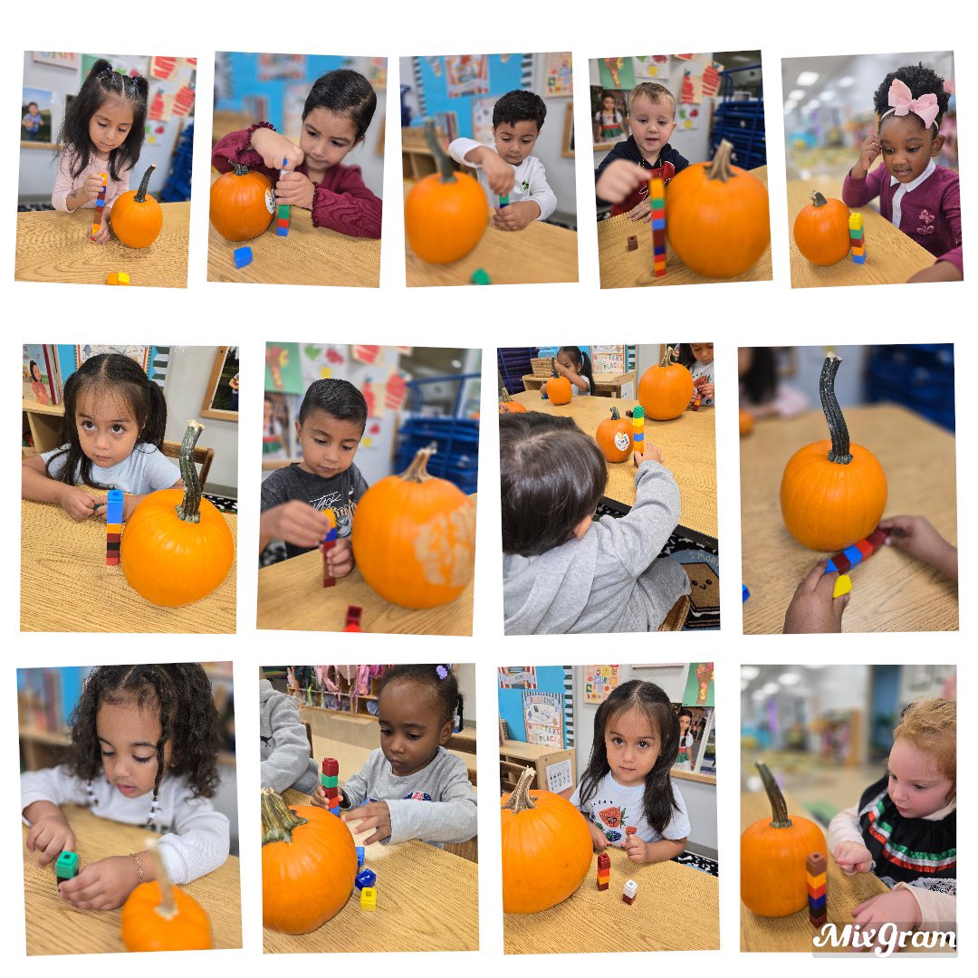 RCAELCPAT's tweet photo. Pumpkin Math — Preschool scientists used Unifi cubes to measure pumpkins of all different sizes today.
#pat #DPH #preschool #earlylearning https://t.co/7gZe1zU5j8