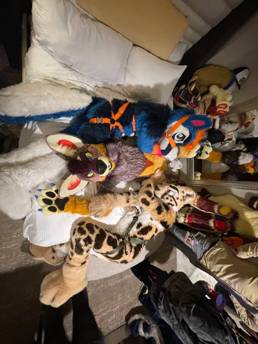 StellarAntares's tweet photo. Unboxing day, BLFC, 10/21/21 https://t.co/E4BRaVMfwv