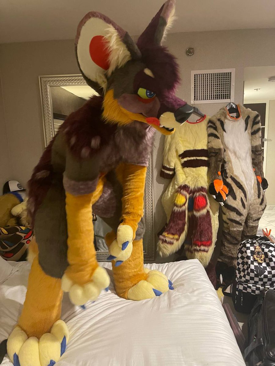 StellarAntares's tweet photo. Unboxing day, BLFC, 10/21/21 https://t.co/E4BRaVMfwv