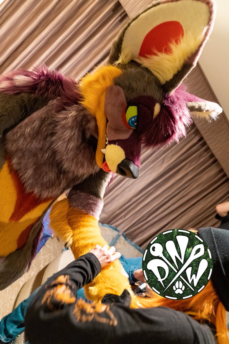 StellarAntares's tweet photo. Unboxing day, BLFC, 10/21/21 https://t.co/E4BRaVMfwv