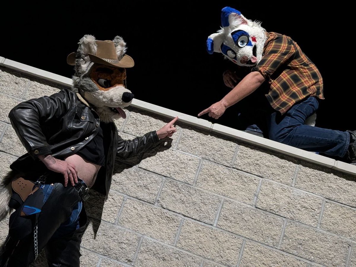 wlfbuoy's tweet photo. JOYOUS WHIMSY I LOVE FURSUITING https://t.co/WkIevkfy4N
