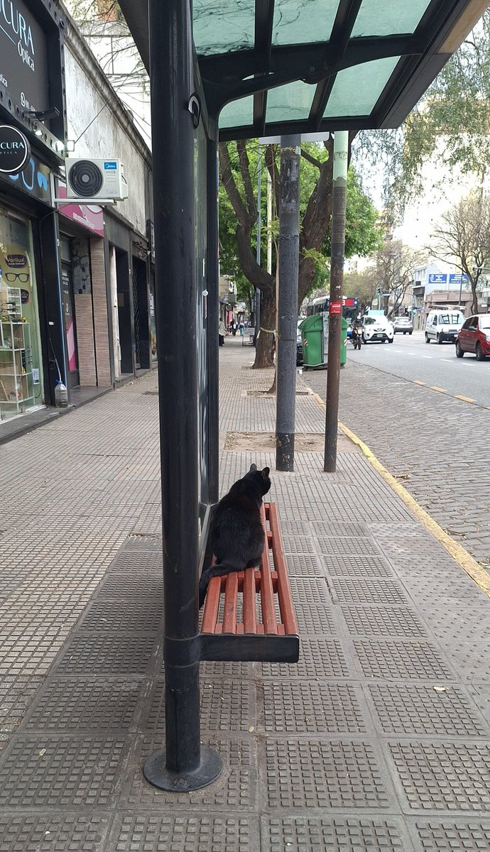camirosadoca's tweet photo. Disculpá, ¿sabés si acá para el 8? https://t.co/hOL8HbY6z0