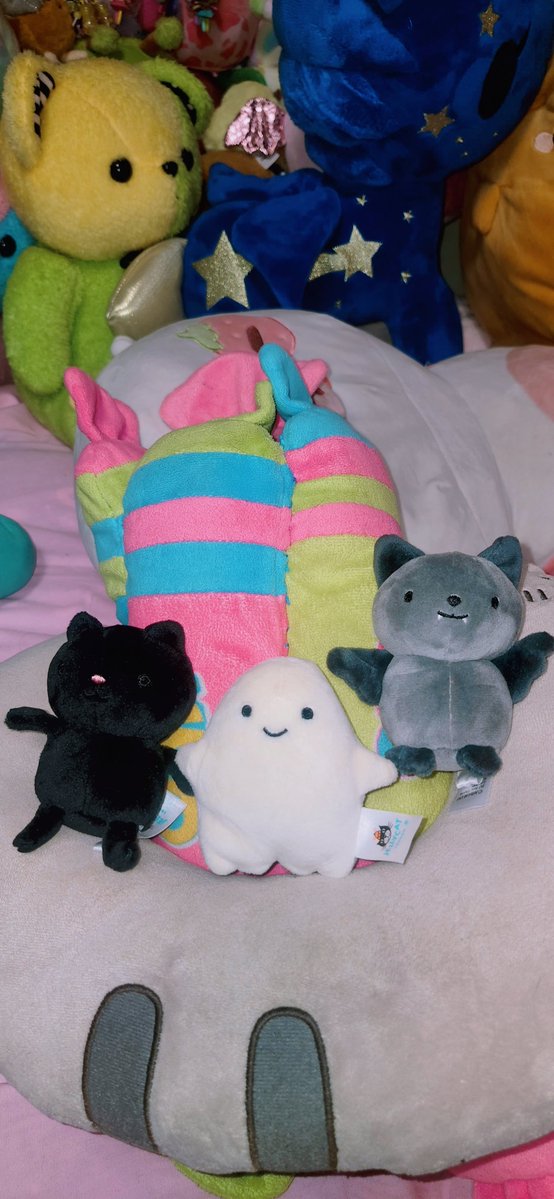 Miichel701's tweet photo. #jellycat #ghost #blackcat #bat #spooky #halloween #stuffedanimal #kawaii #toys #toy #collection #collectibles #toycore #toywave #collector #toycollector #decor #aesthetic #plush #plushies #stuffedanimals #stuffed #plushcore #toycollection #bats #spookyvibes #October #cauldron https://t.co/vSAq8vs7PE