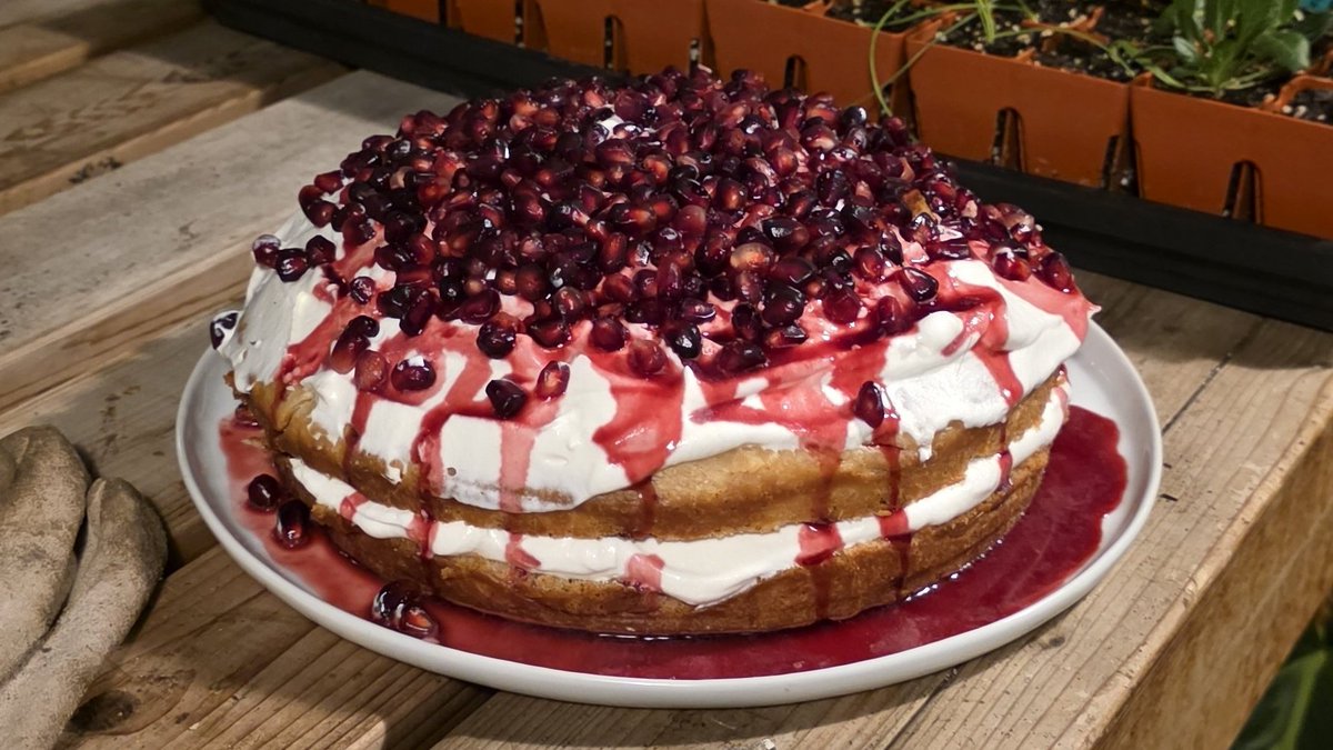 KevinEspiritu's tweet photo. It's almost time for me to make my famous ancient homegrown pomegranate cake again https://t.co/rUS9PWaAtf