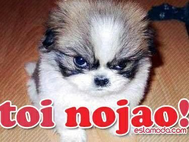 zaislug tweet picture