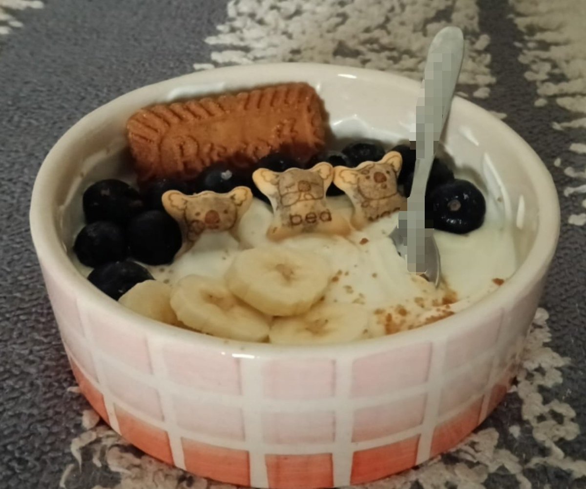 ilikeapples000's tweet photo. a yogurt bowl from earlier that i didn't post ૮꒰ ˶• ༝ •˶꒱ა
i love biscoff on yog bowls 🤤🤤🤤 https://t.co/NChDEVdkDS