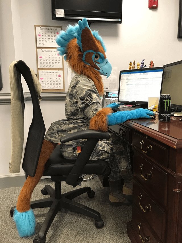 Origamigryphon's tweet photo. "what was your biggest impact on the internet?" https://t.co/78nb11t4jO