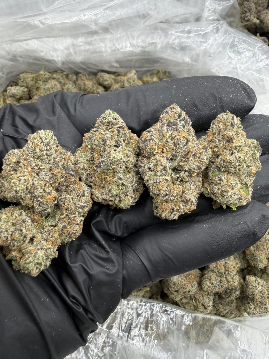 ExoticZaUS's tweet photo. 🍬🔥 CANDY GAS AVAILABLE 🔥🍬

💎 Premium Selection | Sweet Vibes 🌿

📦 PRICE MENU
━━━━━━━━━━━━━━
💰 1P — $1,350
💰 5P — $1,300 each
💰 10P — $1,250 each
💰 25P — $1,200 each
━━━━━━━━━━━━━━

📩 DM for details and availability! 💯 https://t.co/srcpEoI81Y