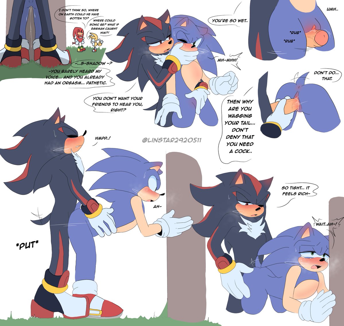LINSTAR2920511's tweet photo. Sonic in heat #sonadow #Sonicthehedgehog #sonadownsfw https://t.co/FLoH6vqnbI