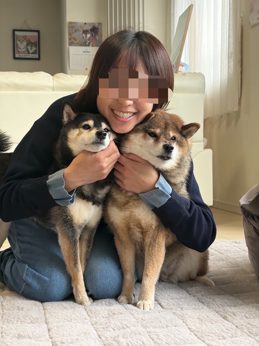 kuroshibaazuki's tweet photo. 10月22日は花ちゃんが我が家に来た日🐻

１０年が経ちました🎉

とっても大事に育てられて１０年。
愛情をたっぷり受けて大きくなりました☺️💜

１１年目もよろしくね🙆‍♀️ https://t.co/DrIRyLU3Sw