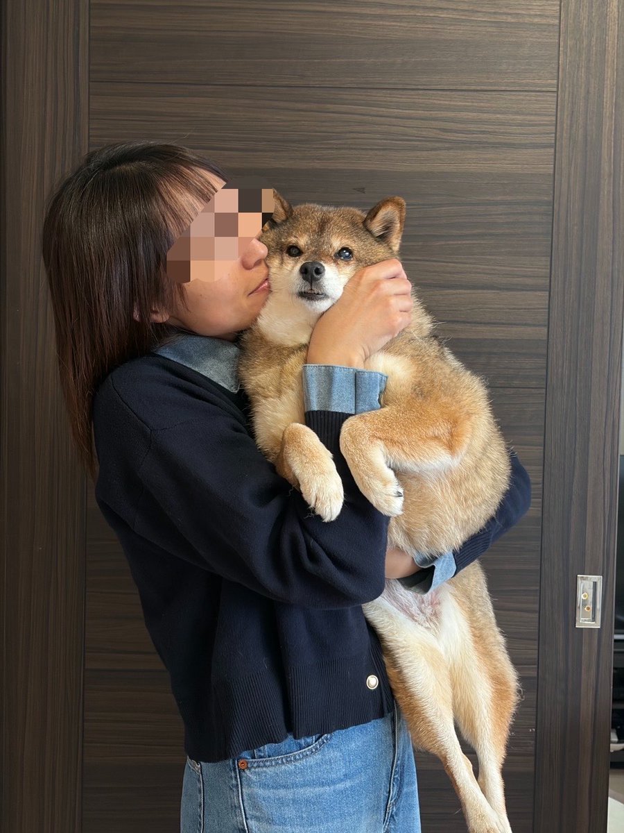 kuroshibaazuki's tweet photo. 10月22日は花ちゃんが我が家に来た日🐻

１０年が経ちました🎉

とっても大事に育てられて１０年。
愛情をたっぷり受けて大きくなりました☺️💜

１１年目もよろしくね🙆‍♀️ https://t.co/DrIRyLU3Sw