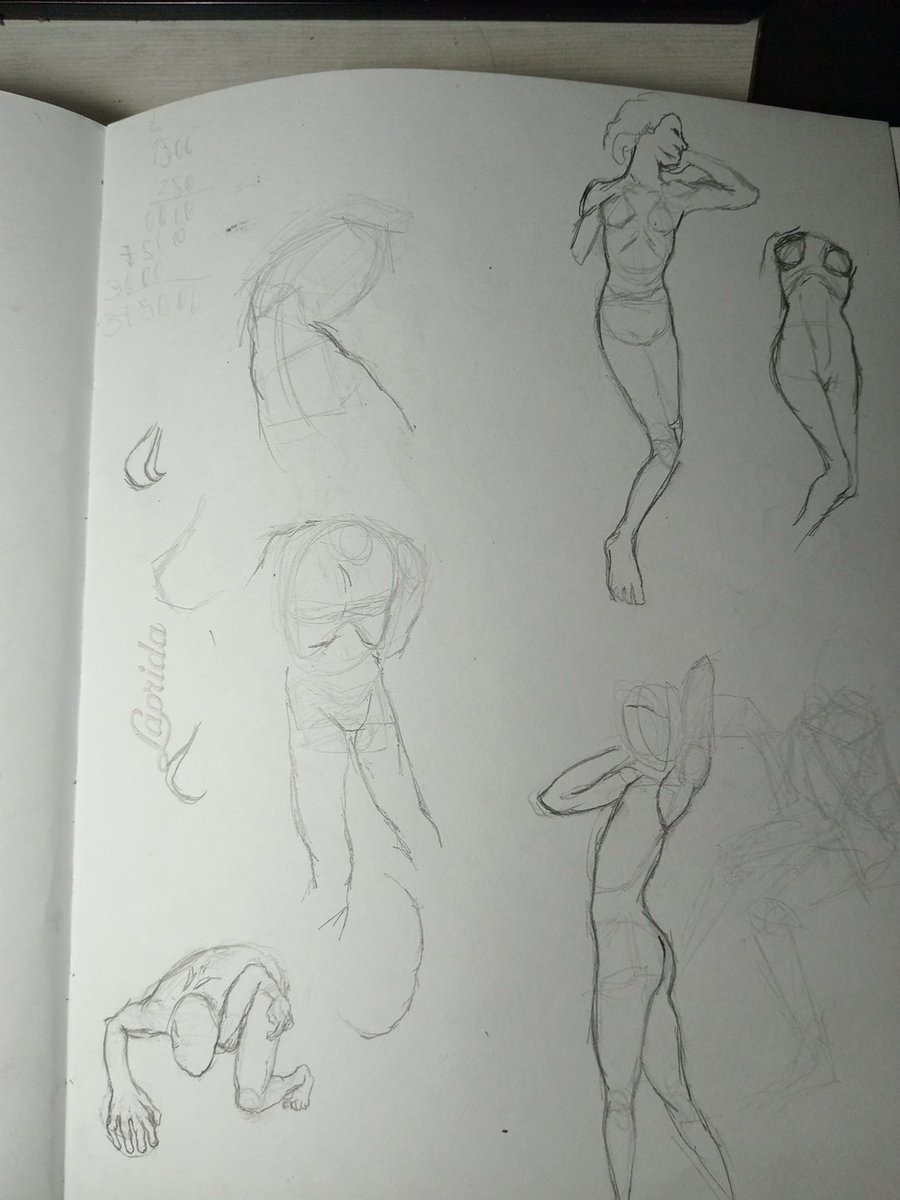 NinjaRexi's tweet photo. I'm back #sketch #drawing https://t.co/PsijdlLWVc