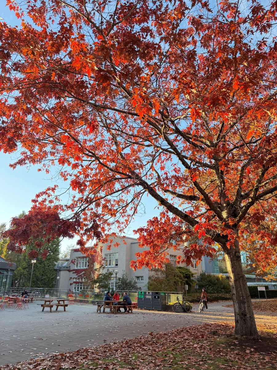 Sherley3388's tweet photo. Autumn is in full bloom.🍂🍁
Autumn’s beauty fills the air. 🍁🍂

📸😊🍁 Taken Oct 20/26 https://t.co/oAhroxGvpU