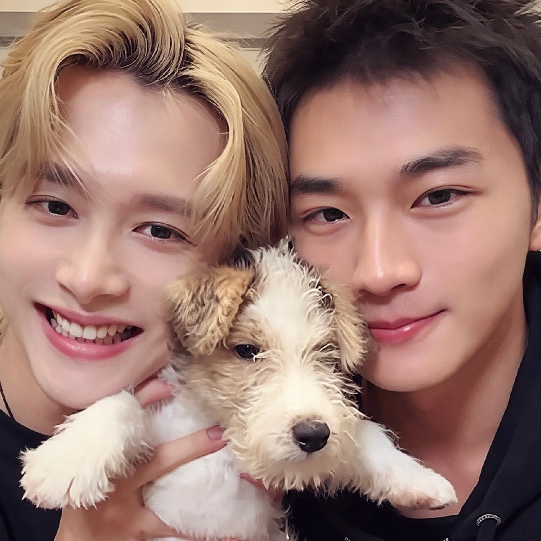 aistrzbyb's tweet photo. この21歳topと29歳bottomが、いま、子犬と一緒に同居している…？！本当に現実なんですか？！ https://t.co/1J8RsozY6W