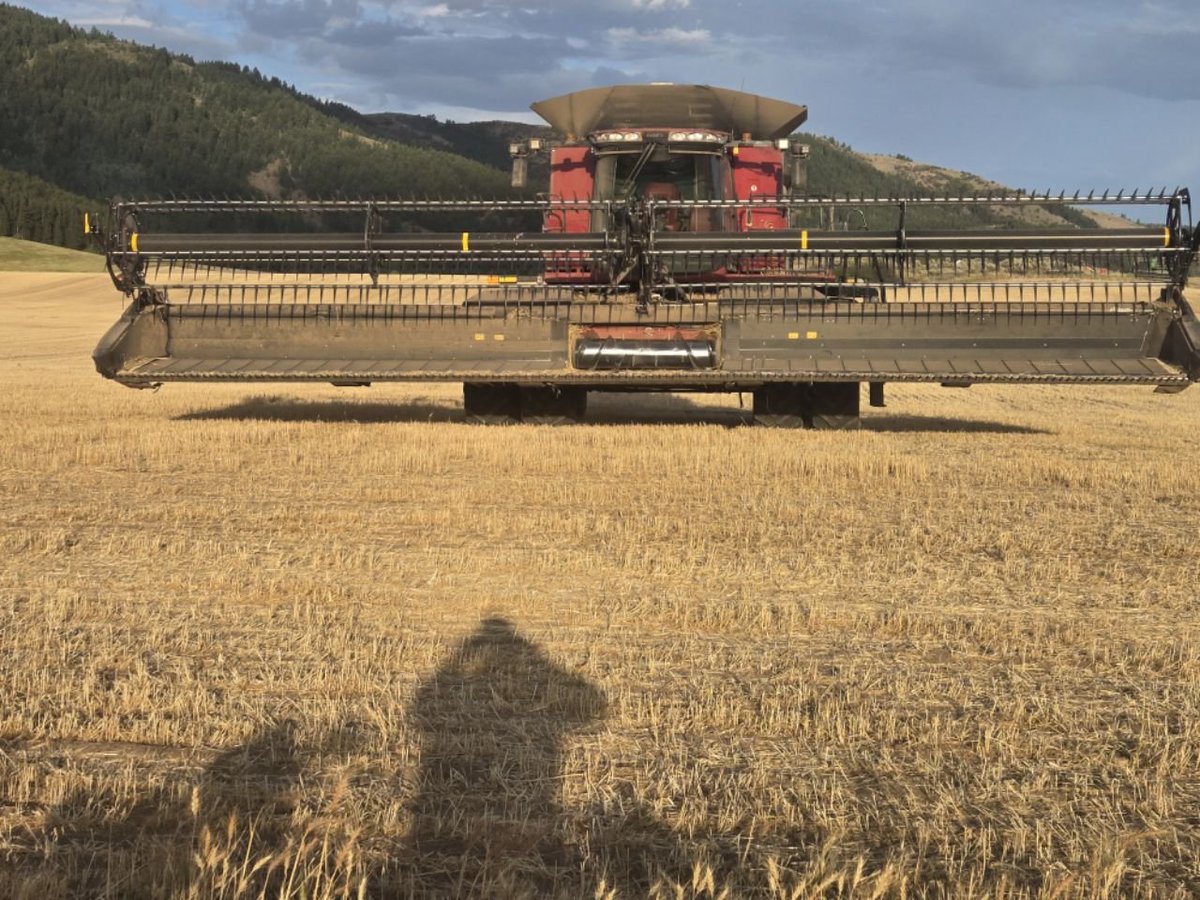 gunnell_bruce's tweet photo. @JenniferAnr0tl 4th generation farmer https://t.co/Rov4srJUNF