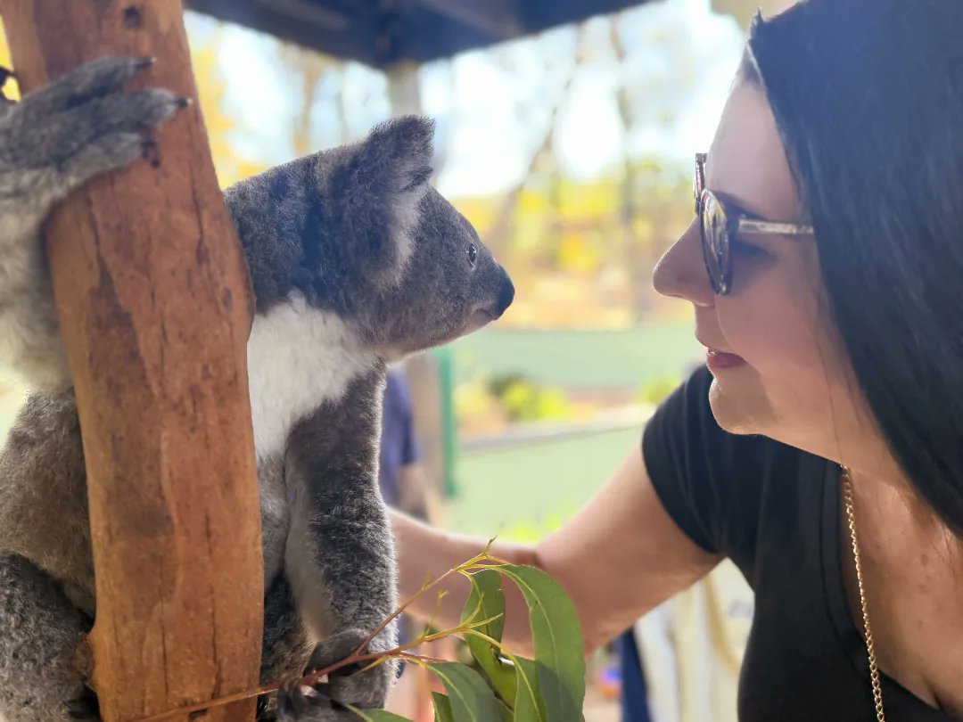 mary_wood24168's tweet photo. Being the Koala whisperer. 🐨💕
#australia #unconditionallove #antidepressant #angelwithoutwings #loveandlight #soulfood #koala #joey #animalwhisperer #happyplaces #adventurousspirit #onvacation #wanderlust #amazingthings #blessed #memoriesforlife https://t.co/SIuqrDVTLd