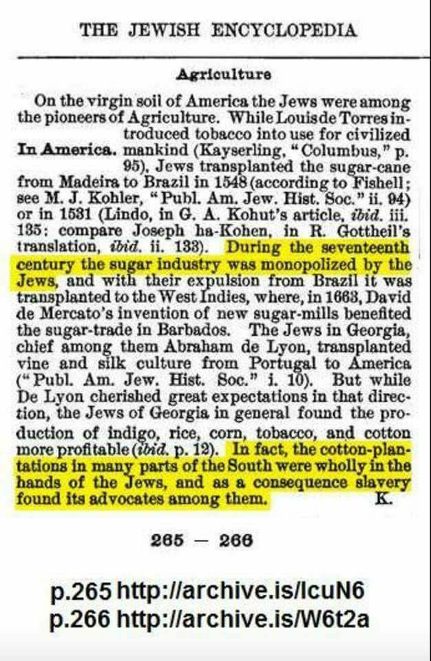 NOtoTinyHats's tweet photo. More proof about jews and slavery, and monopolization of the sugar industry. https://t.co/hYSJr9boru