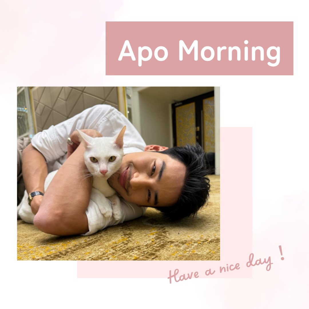 APOnattawin_JFC's tweet photo. 𝗔𝗽𝗼 𝗠𝗼𝗿𝗻𝗶𝗻𝗴☀🤍

季節外れの暑い日が続いていますが、体調等崩されていないでしょうか？
東京では今日からポスター展示イベントを開催しておりますので、お時間がある方は是非お越しください☺️🙏
皆様今日も良い一日をお過ごしください💛

@Nnattawin1 #ApoNattawin #SayniceDaytoApo https://t.co/ctxQTPJwJ8