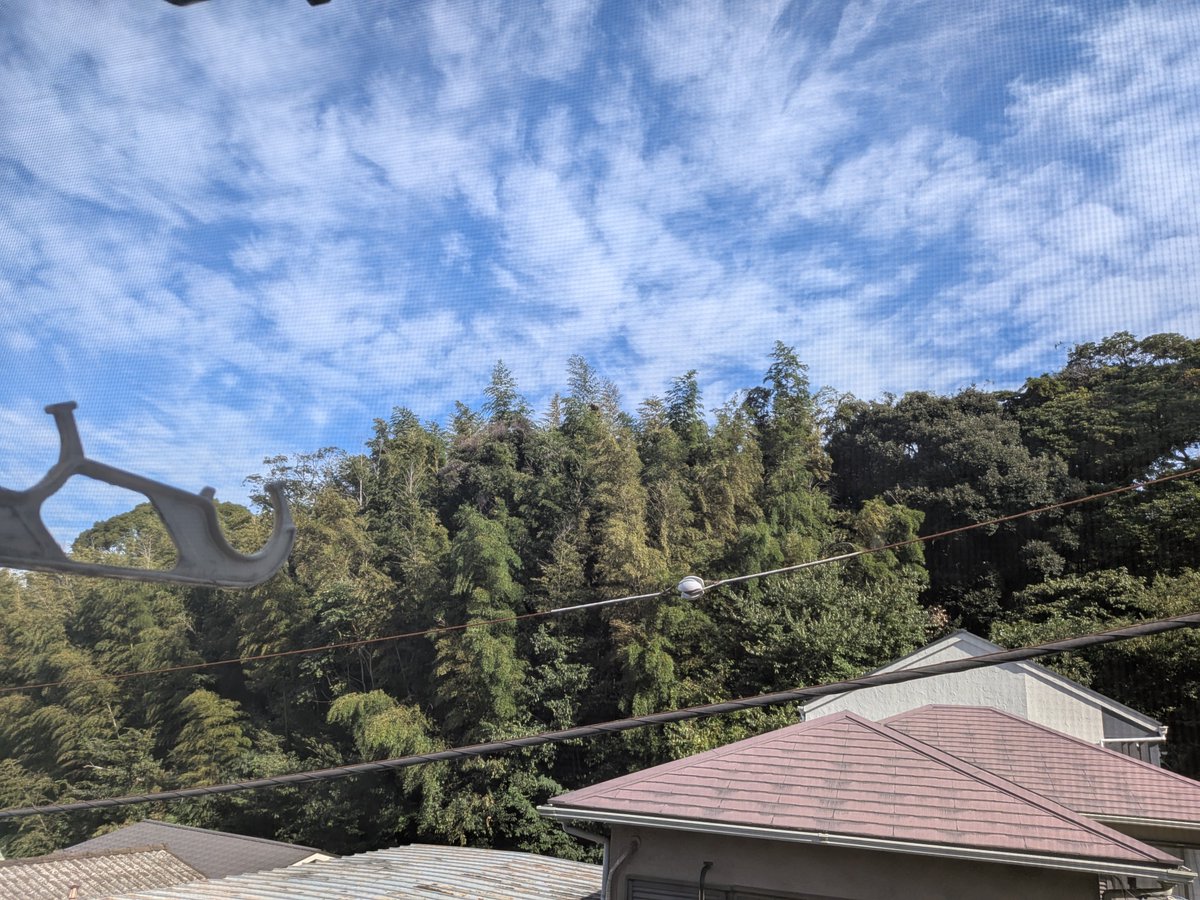 pinHA1627's tweet photo. おはようございます。
今日で家族別れ、森に囲まれた古びたアパートに引越し、して約４ヶ月やっと環境慣れた。
50年振りのひとり住まい、自炊から家事全部頑張ってます。

人との会話無くなり、お喋り好きな我残念😞
仕事もひとりなので、ただ上番、下番時に引続きの方との会話有り
で楽しみ。 https://t.co/EPdEuoGN5Q