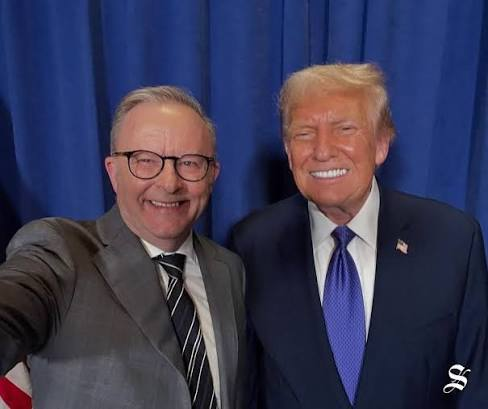 FetchStep's tweet photo. @DianaRyall PM Albanese learnt how to play dirty from the best in the business , his best friend Trump .. https://t.co/gfA4vfdDgD