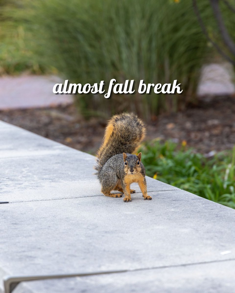 SimpsonCollege's tweet photo. Ready for a recharge 🍁 https://t.co/XKy06ho9xv