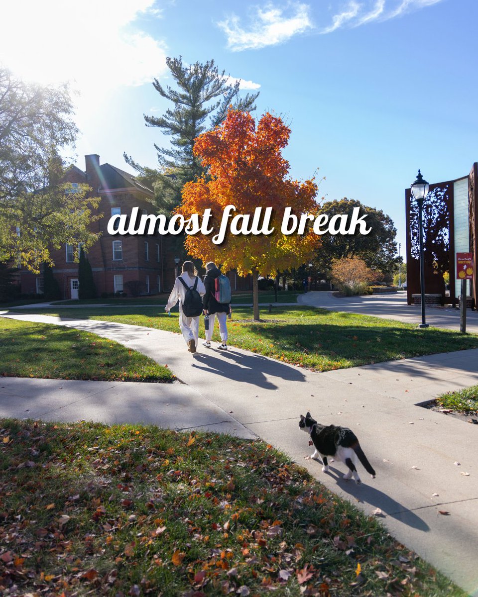 SimpsonCollege's tweet photo. Ready for a recharge 🍁 https://t.co/XKy06ho9xv