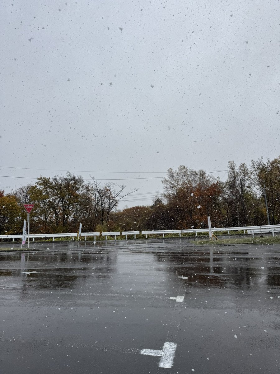 k_ri_46's tweet photo. 雪だ！雪だ！雪だ！雪だ！ https://t.co/TkRLmwhcPI
