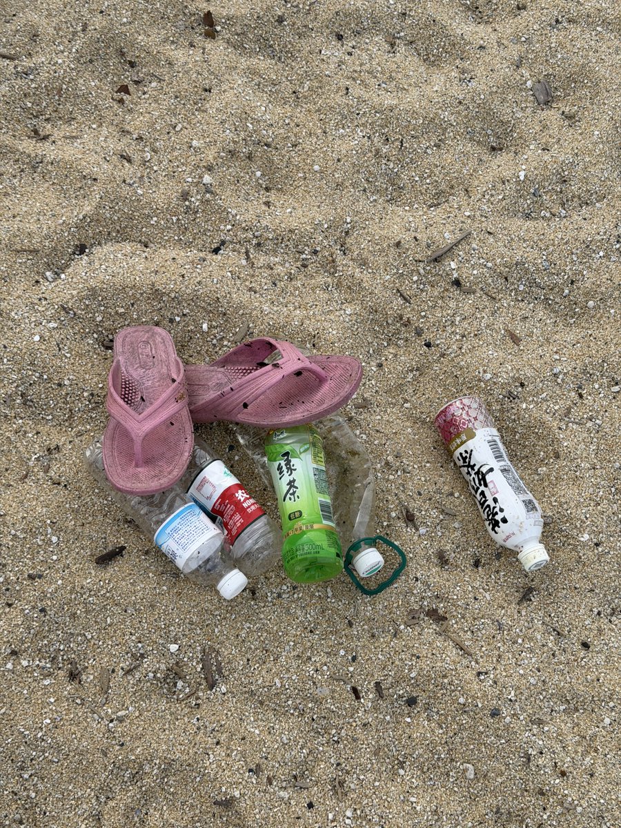 KingBamboo2077's tweet photo. A little morning walk on the beach at low tide with @GoPulseRun 🌊

What an incredible landscape! The typhoon is giving the waves unbelievable power. Nature is truly beautiful. 

I also found some litter along the way, so I picked it up to help keep this paradise beautiful for the next visitors. 🌱

Small steps make a difference.

Step by step, Pulse by pulse. ⚡️

#Solana #PULSE #beach