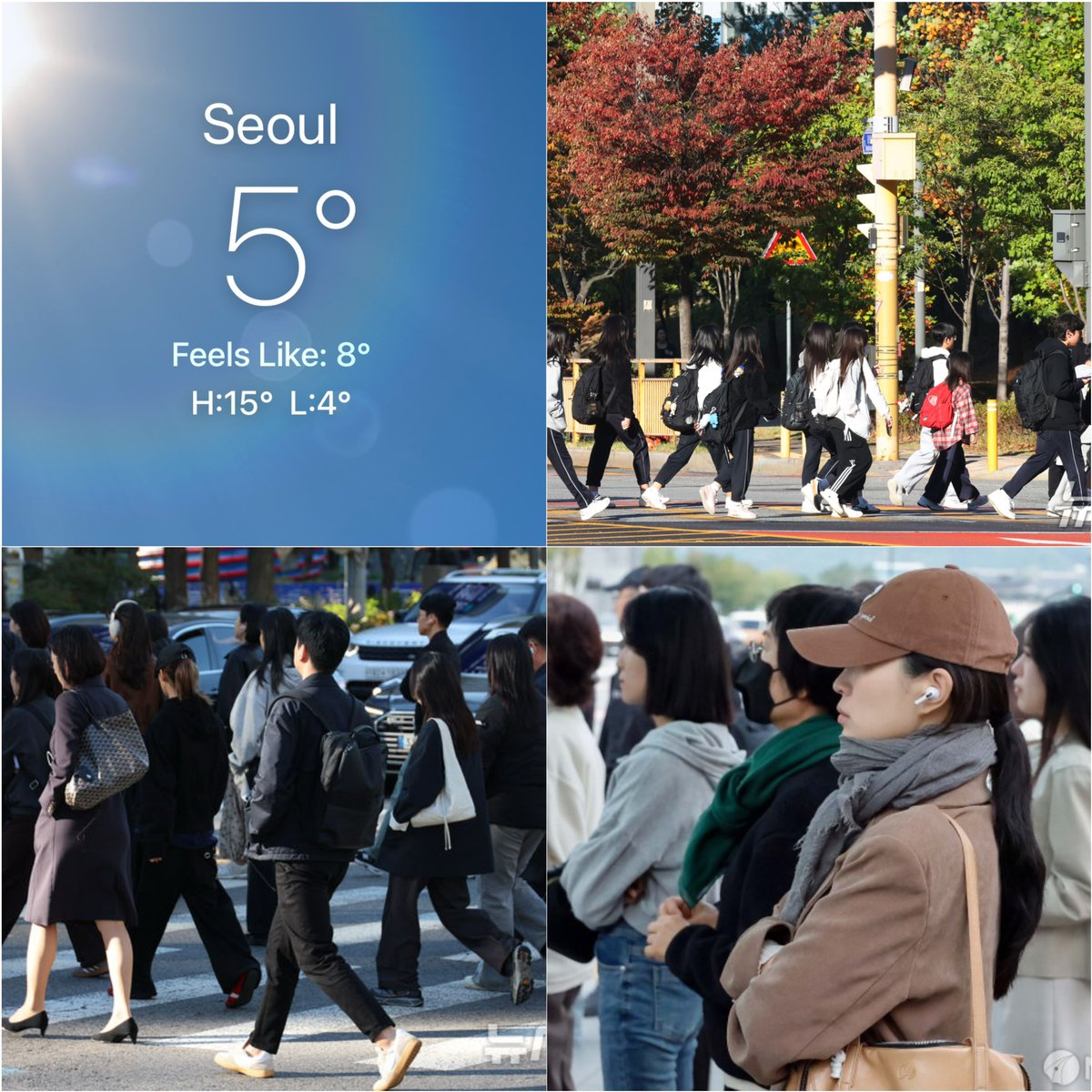 ajummabakorea tweet picture