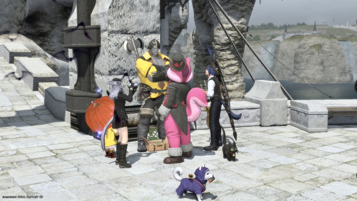 binaryleaf_FF14's tweet photo. スンドヒ丸は全て見ていた。
懐柔出来ないか交渉中。
#FF14 https://t.co/qUbdvJ5azX