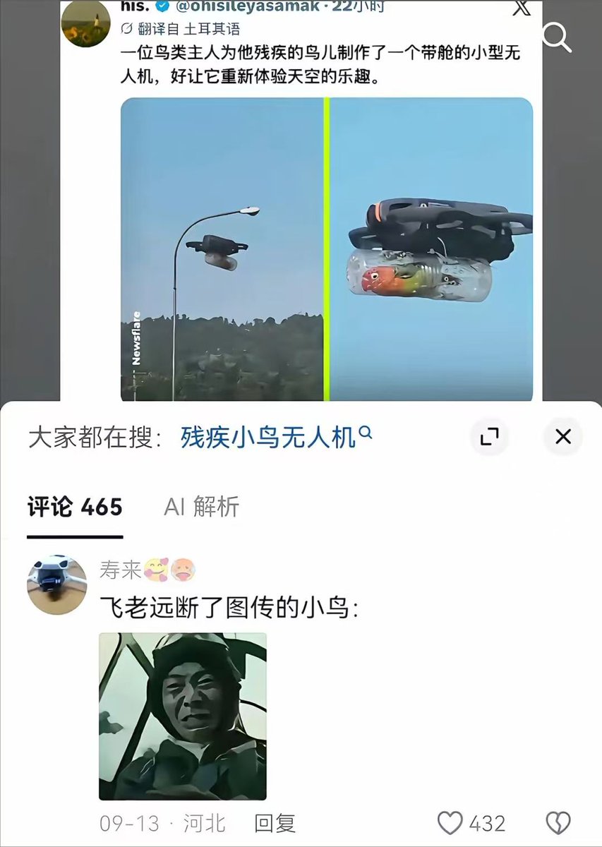 Kelvinstiv324's tweet photo. 🐦小鸟：我*****🤬 https://t.co/4UWVh77szo