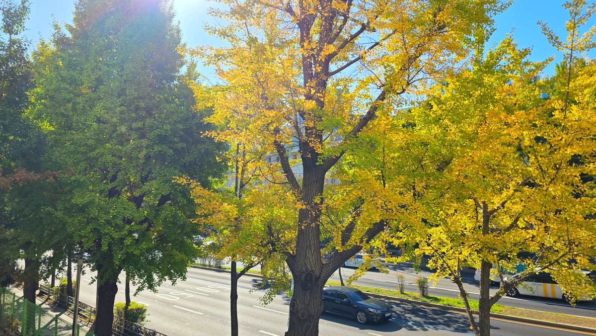 Peacism's tweet photo. #Cold #SunnyDay :)
긍정을 믿습니다! ❤ #Korea #Seoul #Landscape #Sky #Landscape #Autumn #날씨좋다 #춥다 #긍정 #믿다 #Love #Always #Memory #Remember #Moment #Believe #함께 #고마워요 #기억 #생각 #다잘될거야 #GoodLuck #힘내자 #사랑 #열정 #도전 #사색 #가을 https://t.co/IjUzWiJVOw