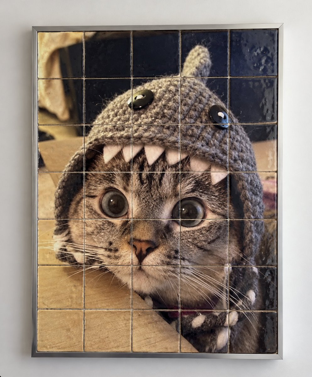 RoaringSharkCat's tweet photo. imagine buying the shark cat and HODL’ing it for 939 days? https://t.co/jmcCmqeODy