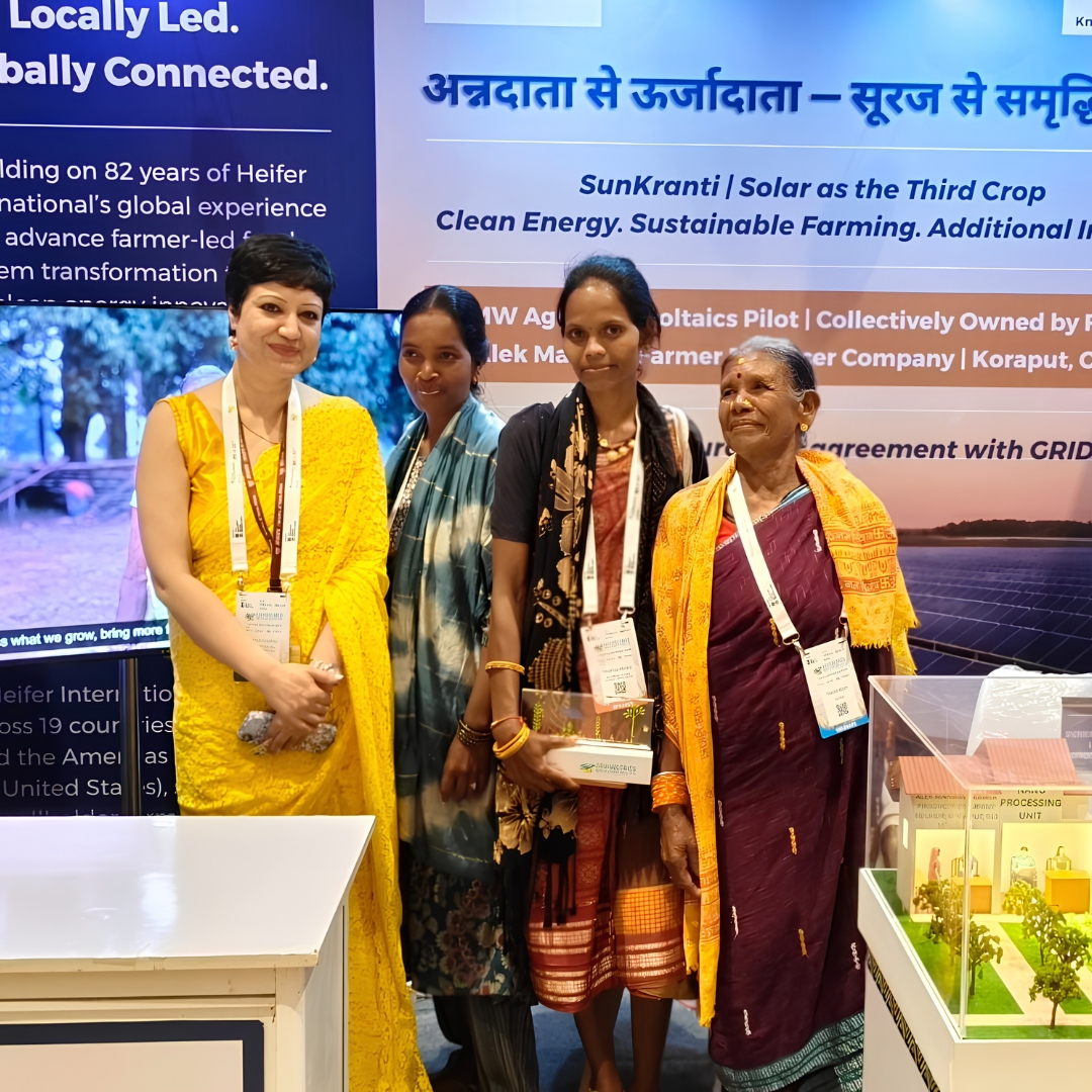 Heifer's tweet photo. Nothing about farmers without farmers. 🌱
Rasmita Muduli, a smallholder farmer from Odisha, brought her voice to AgriVoltaics World Conference 2026.

Our Agri-PV model puts farmers at the heart of the energy transition.

#Agrivoltaics #AgriPV https://t.co/F0dj0z6GUo