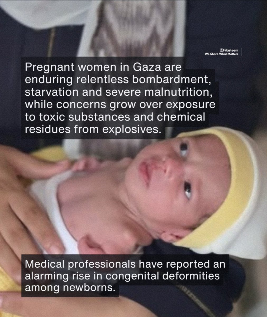 JenGLambie's tweet photo. Israel's #GazaHolocaust https://t.co/zS889625xf