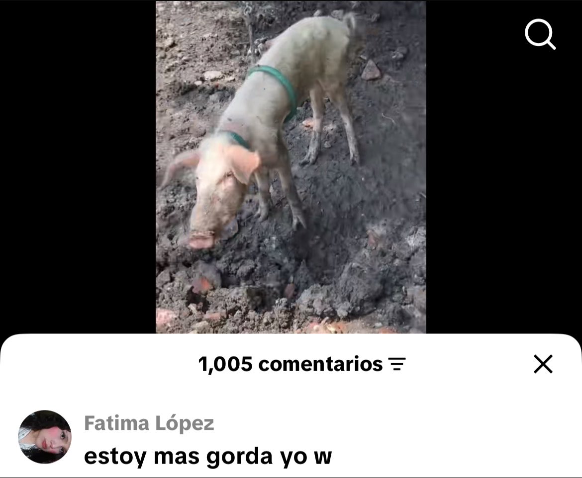 boringmike_0's tweet photo. Ni m acordaba q tenía esta captura https://t.co/OpVmQoNIlC
