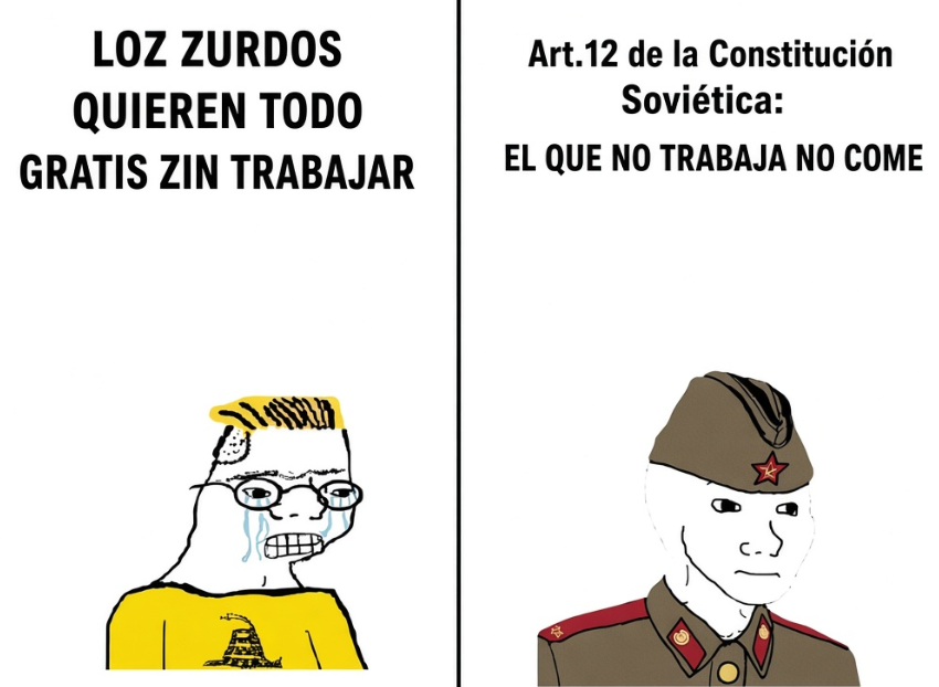 dprkarlos's tweet photo. Es tan tierno ver como su extrema derecha está más contaminada de pijiprogresismo que la URSS https://t.co/gMVJKCyr9f