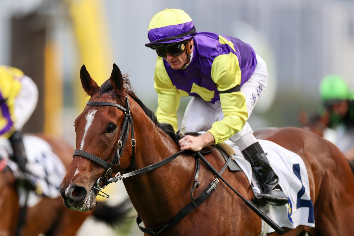 HKJC_Racing's tweet photo. Declarations are out for Sunday's (25 October) 11-race fixture at Sha Tin, featuring the HK$5.35 million G2 Lukfook Jewellery Premier Bowl Handicap (1200m). #LoveRacing #HKracing 

Race Card 👉 https://t.co/NZNIqICVf9 https://t.co/aPLF6rxT6p