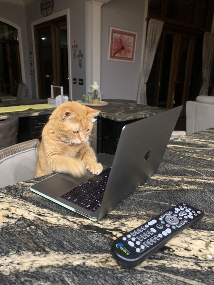 vxunderground's tweet photo. Today silly shenanigans:
- PHP2shell, leak, bad stuff
- Something about Railway?
- The number 4 is a valid cert
- NodeJS and something about broccoli?
- LiteLLM supply chain attack 
- GitLab CVSS 10
- OpenCode leaking API keys 

What does this all mean? Idk https://t.co/dr91Zv7doj
