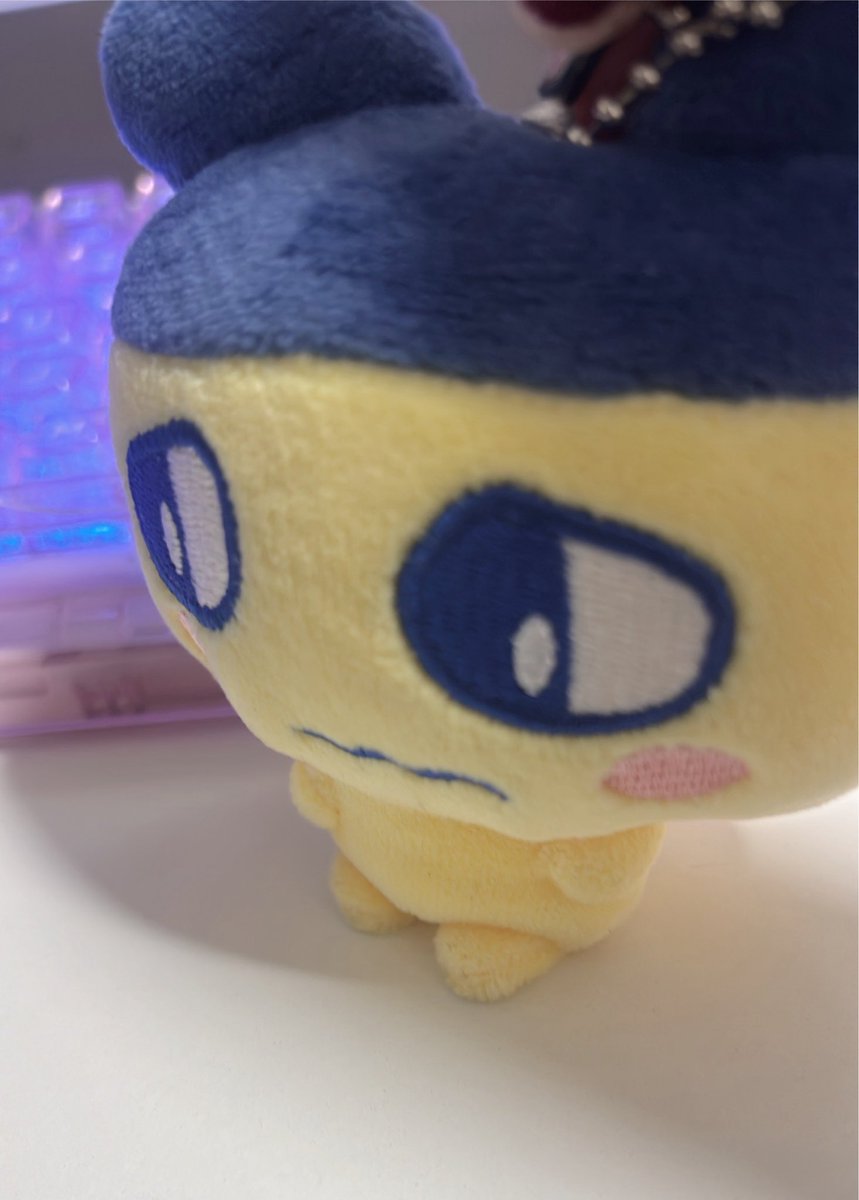 akamaru_sabu's tweet photo. あたらしいまめっちお迎えしました https://t.co/SL3LMzwseM