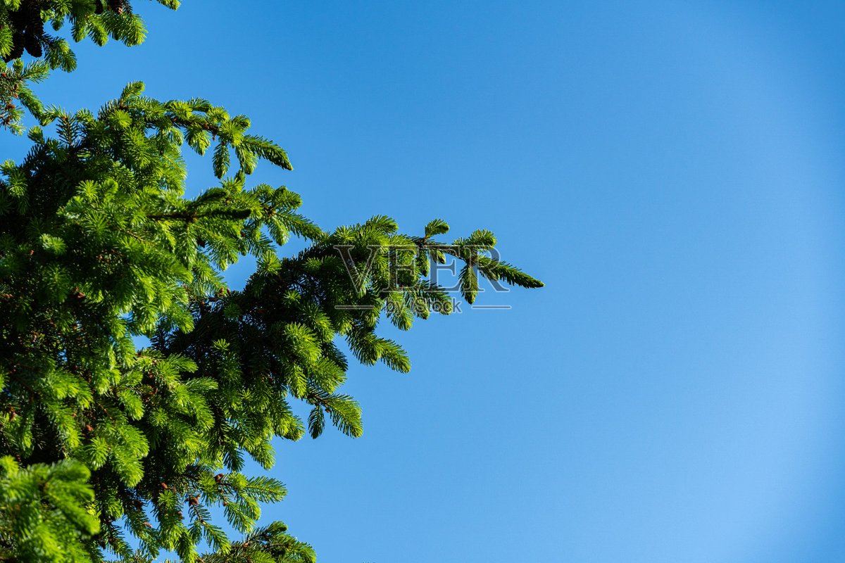 OPqr2piOUotBLKR's tweet photo. [今日は職畔の空を見上げた、風が心を荡奔させた。]， https://t.co/DZFlaZDEag